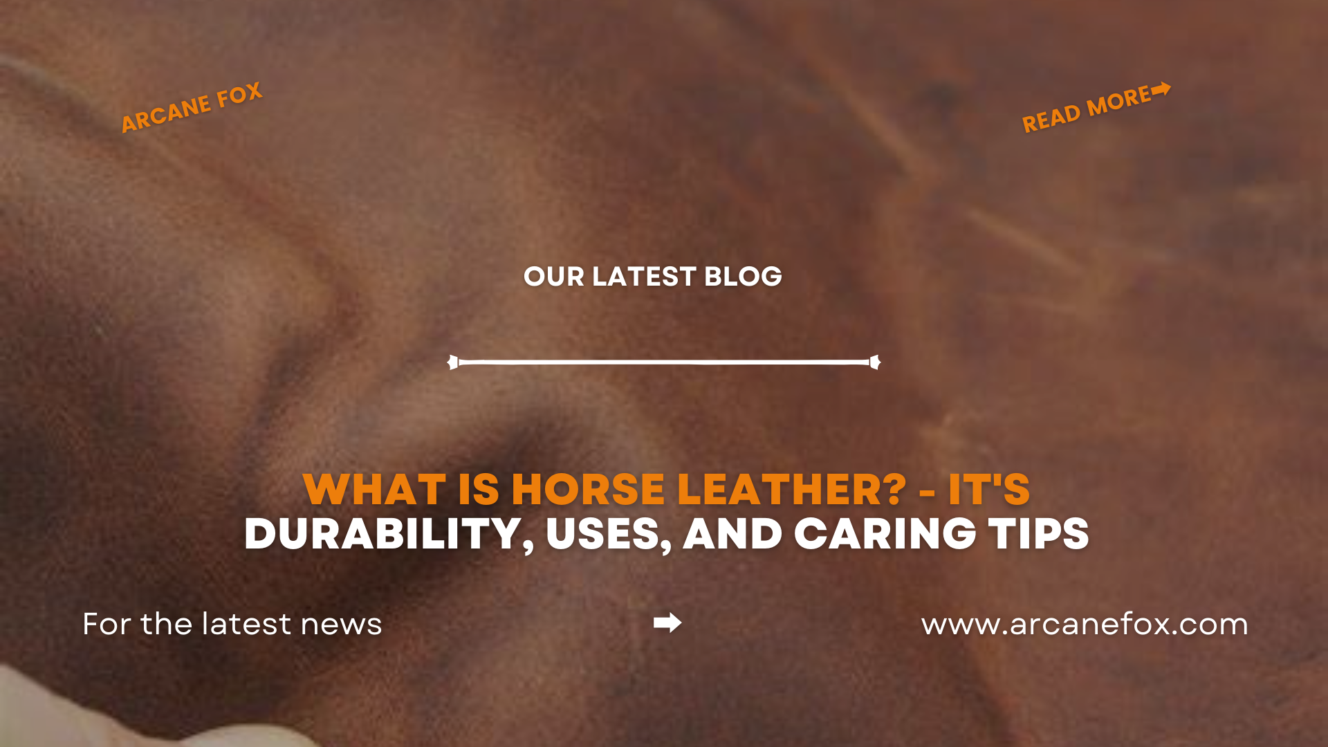 What is Horse Leather? - It's Durability, Uses, and Care Tips