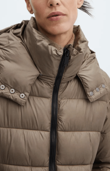 Arcane Fox - Women's Removable Hood Puffer Coat In Brown